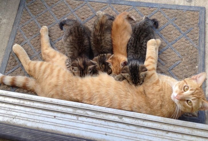 98a3255cf593c5bb63cce829c2