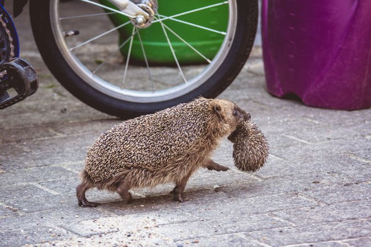 98aa875dedaaab467aae4dc48f