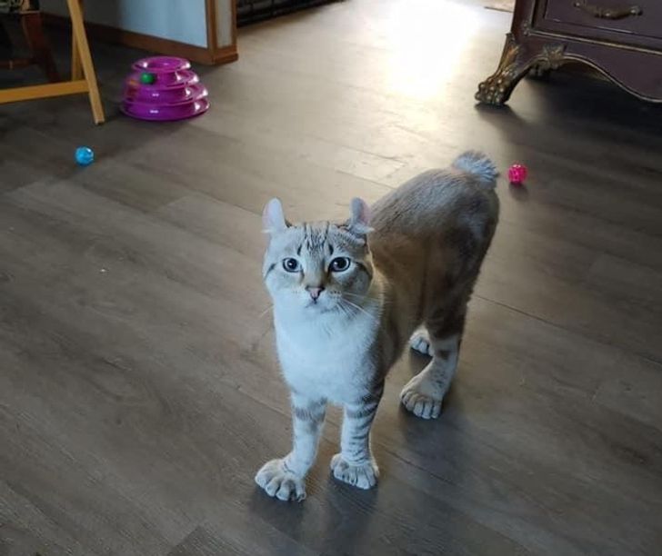 98b0f05a7786fcba6c44ff207c