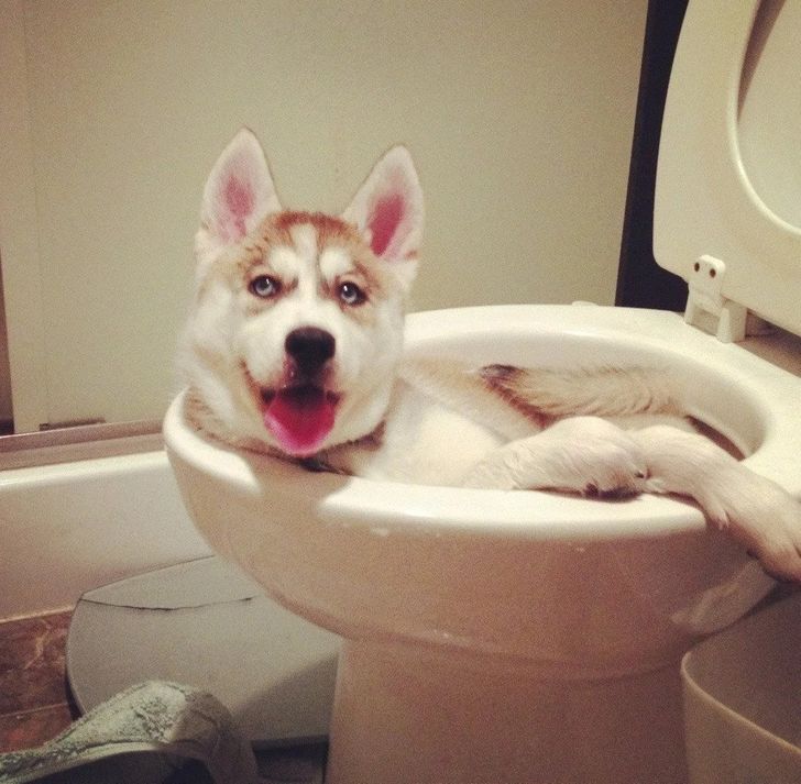 98b2c852269937cfe9816386b5