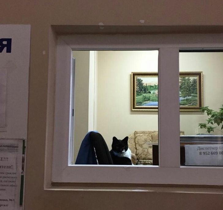 98b73054369aa31f1d13913709