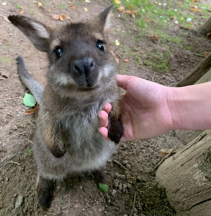 98c13e5374ba4e472d9a1b1111