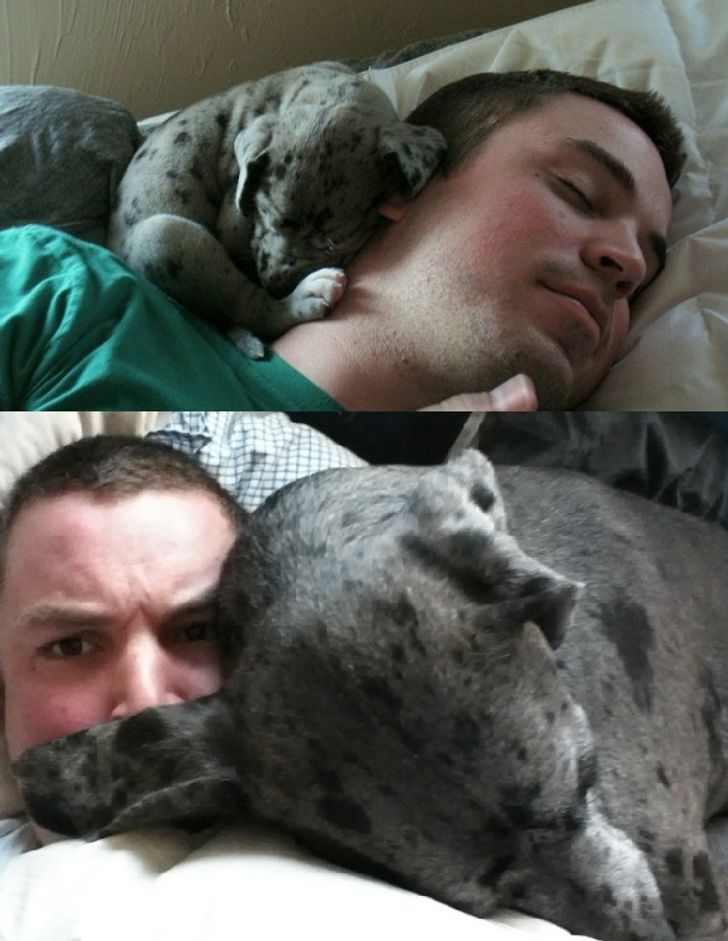 98c1a15c2099fc9203c6cb984a