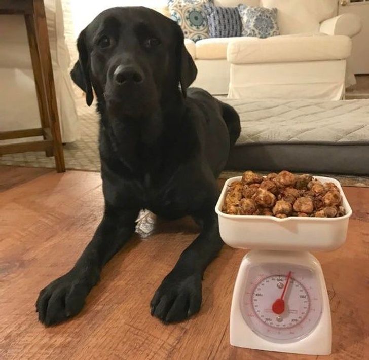 98c2c7587aafdc1872a9a8e35e 98c2c7587aafdc1872a9a8e35e