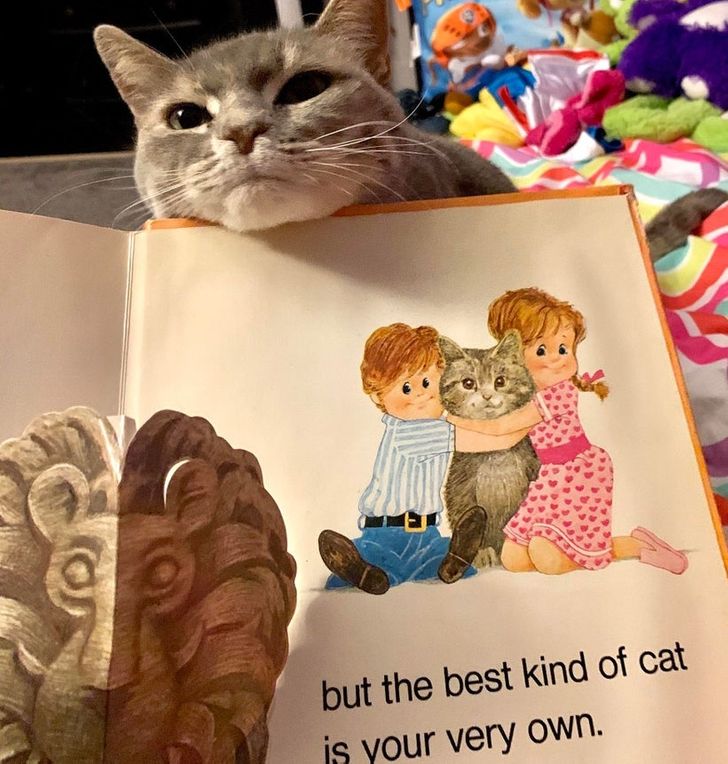 98c51e5aab824e70ed8487e527