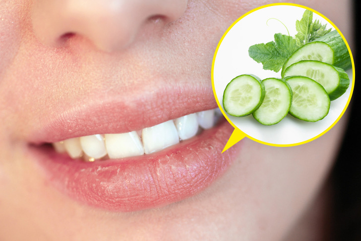 98c6e85ee4b68b041c11e48580