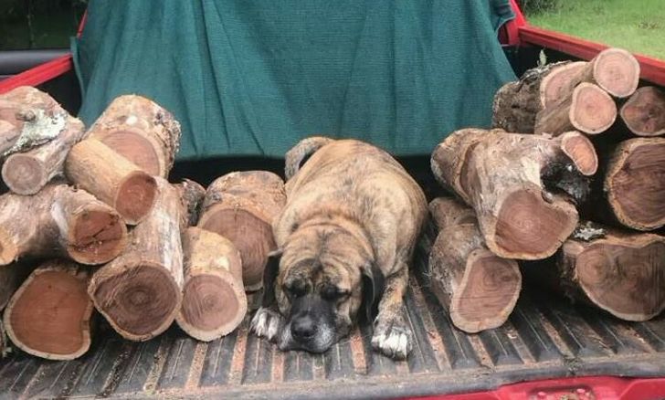 98d0205341beecae9fef344ede