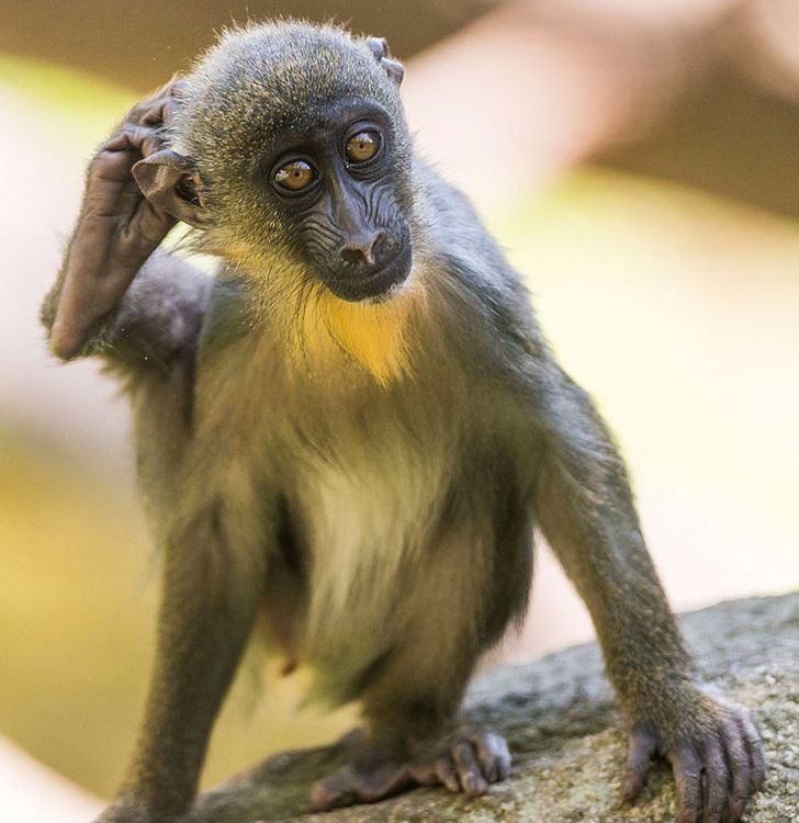 98d4c359c38f87b6508a83cca9