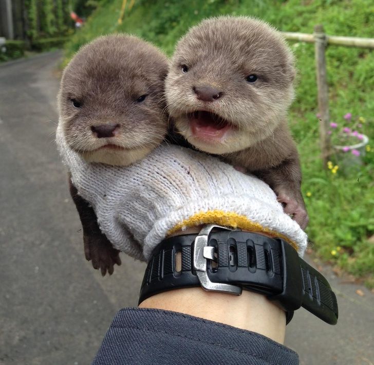 98d6345081a456b2088cf4281d