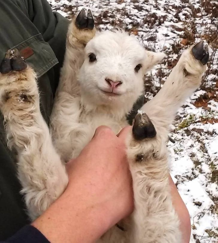 98d89a5dde94e754819e4aff56