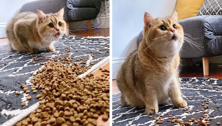 98d97859fc8ffa3b0b3e5bee5a