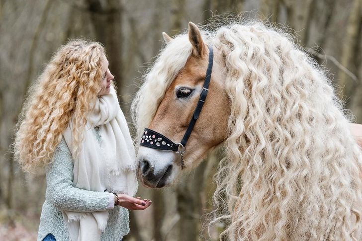 98dd1152b6b58df89c04d253cc