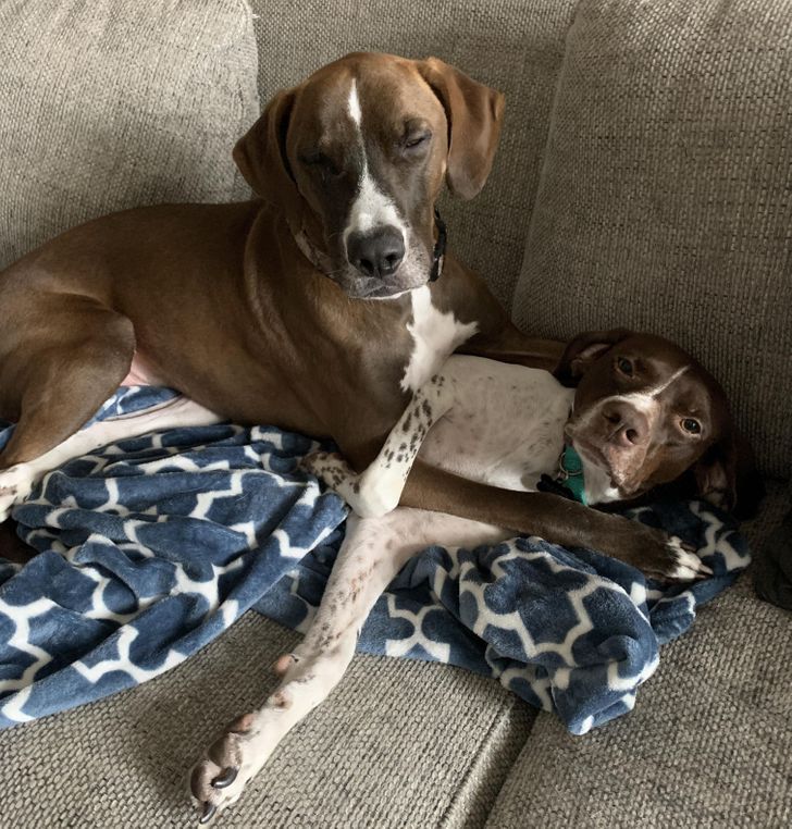 98e4bd5ec7a3e0741978ad3bd0 98e4bd5ec7a3e0741978ad3bd0