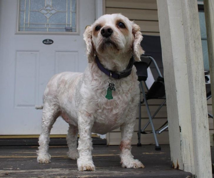 98effc584fa456b664750ec1b1