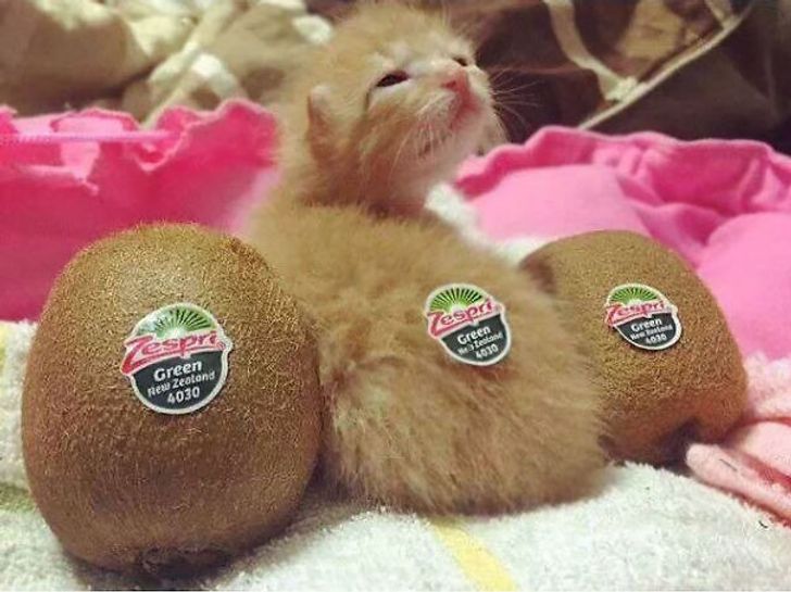 98f0995f238ce0bfd679bb24b2