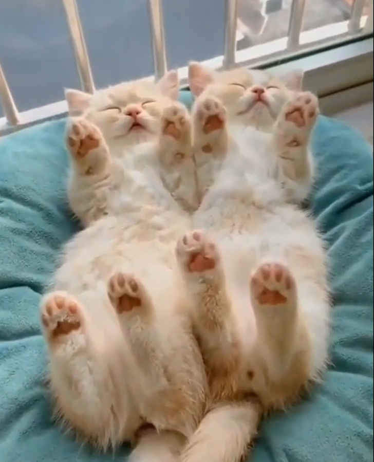 9901e154bf85a238174077a212