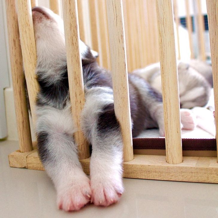 9902be5649866e4c519e569cc0