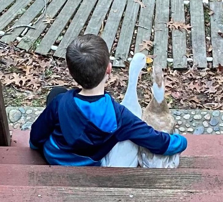 9905ed570f9967d23ba2fd060a