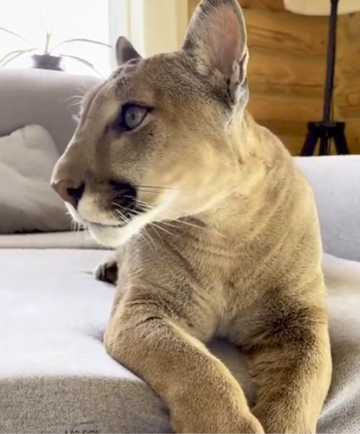 99181351d984e3563838b79e0b