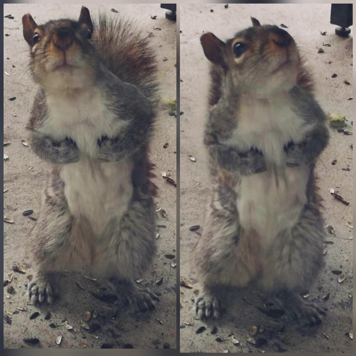 991b725d38b7b5a60901b6c182