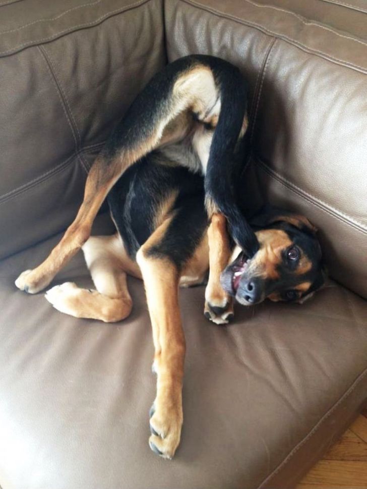 991b9852f48d0c34b3a77cc6b3