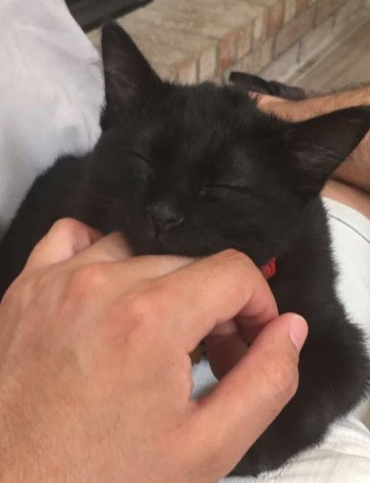 991bd8505480a0fdb44076dc7d