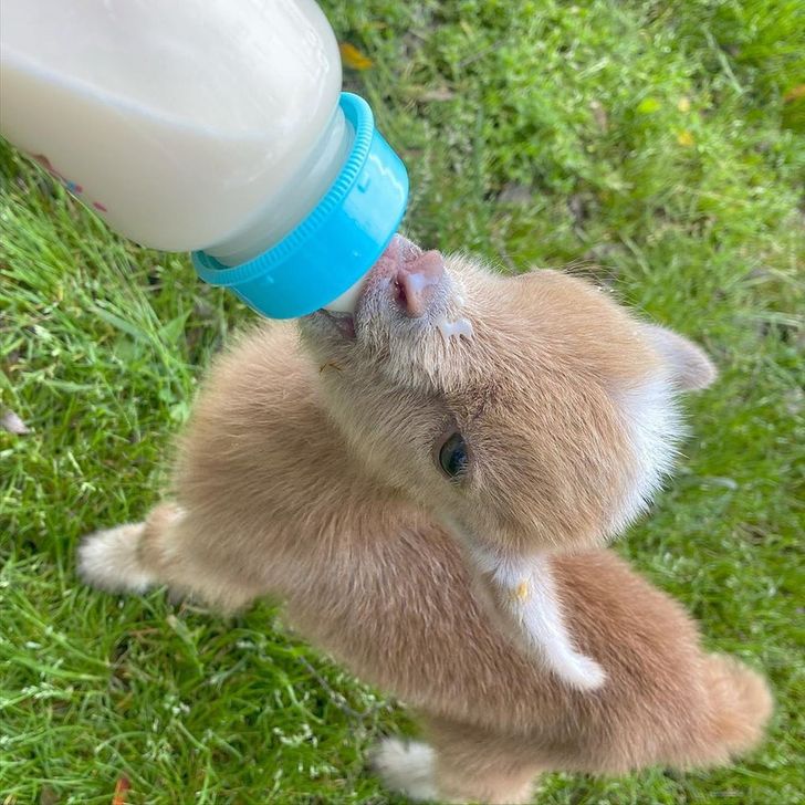 991c265112b79d04a3a227a9f3