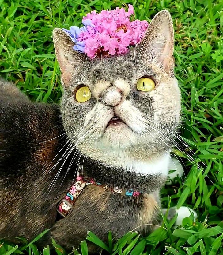 991f4c5ec8939c46d7574466ef