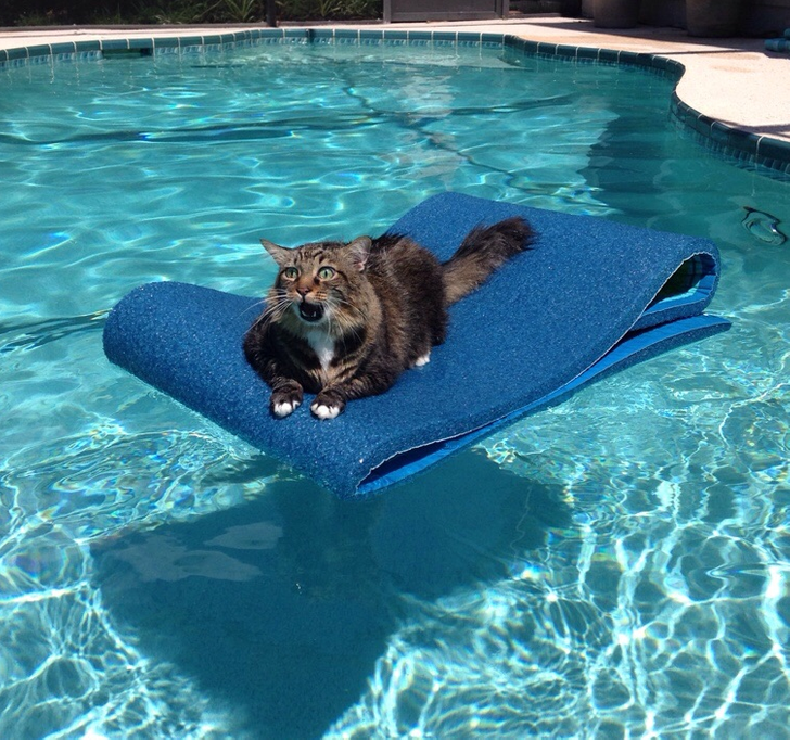 9920c45da69d5262e5d2f39e6c 9920c45da69d5262e5d2f39e6c