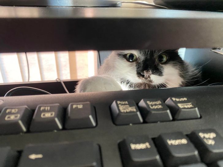 992a7a5e3eba301cd47a07f8ae