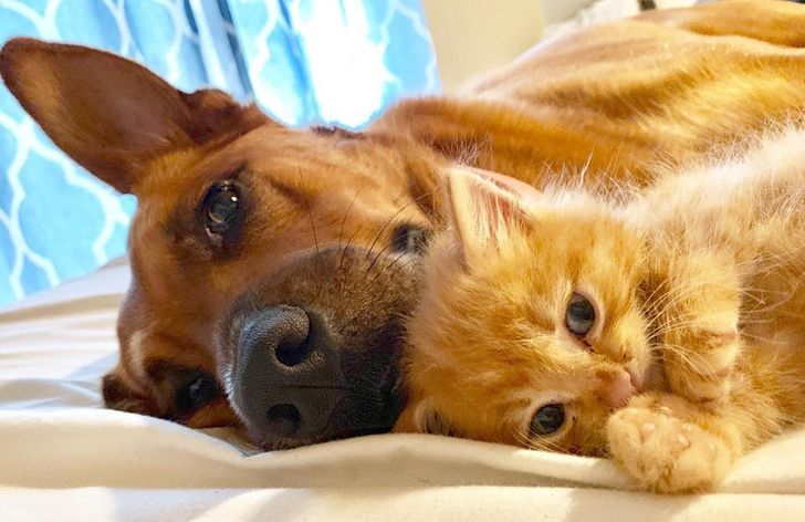 992d4e506691b2fba84efb39a5