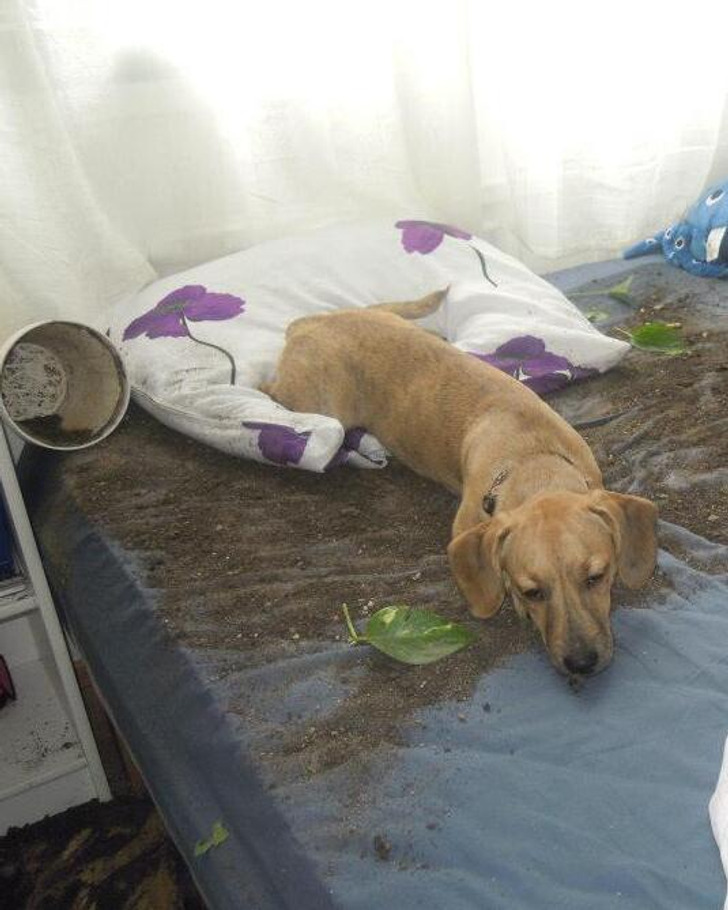 99318952d190aa264f9875e5e6