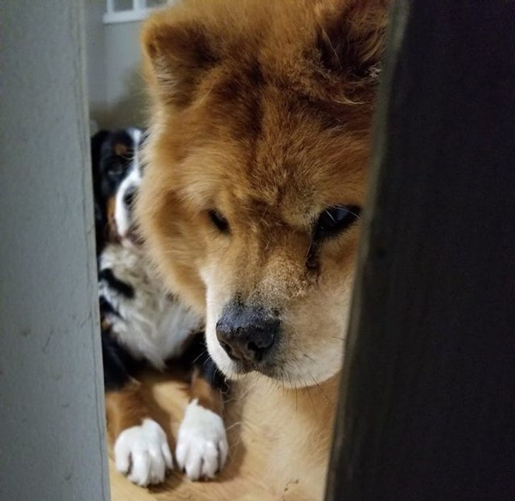 993c8851dd81f7ec6b3968856c