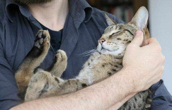 993dcd5bf7aadb2c7c7a26dd14