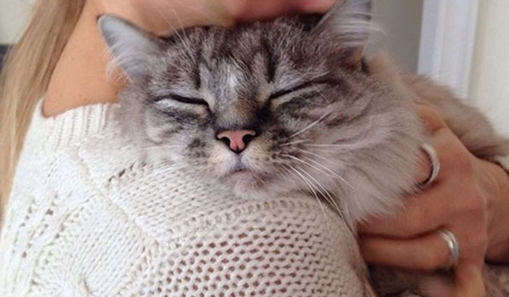 993fd058999433cab17c265842