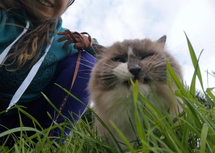 99438d56fcb4cf5fc9eea5a721