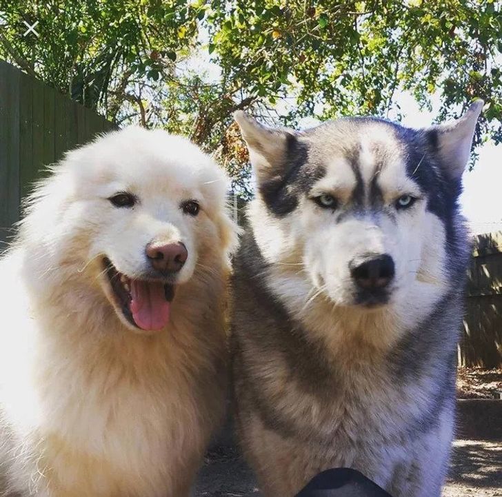 9943d1558a9b48308216d29086