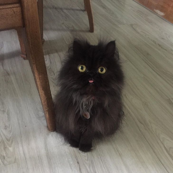 9945405a4bae0292776f165d22