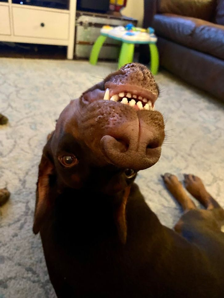 994a1754e5a4c5a18b75b82da4