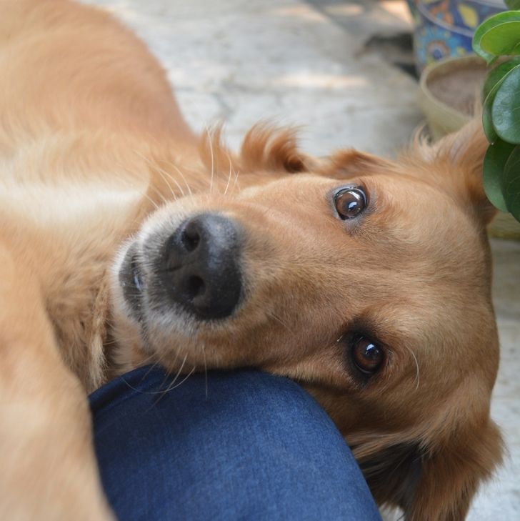 994f855da8b54eec7dcf2f8ce7