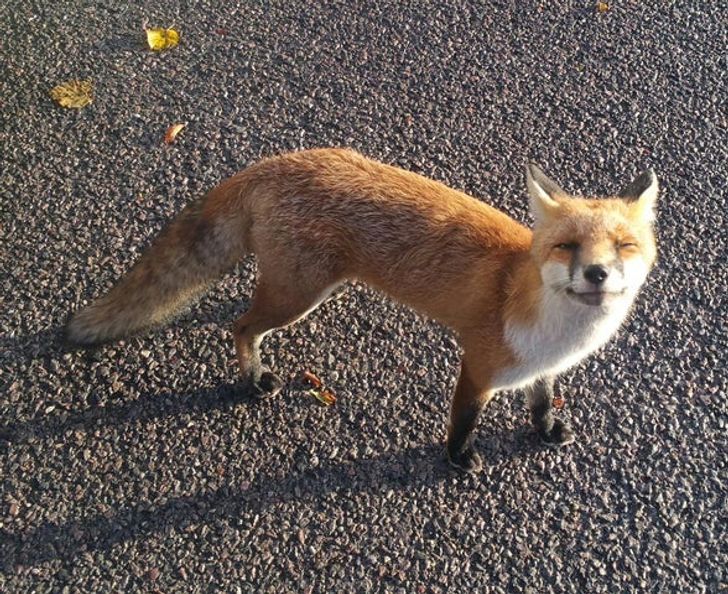 9950d15771a17b0128203ab45c