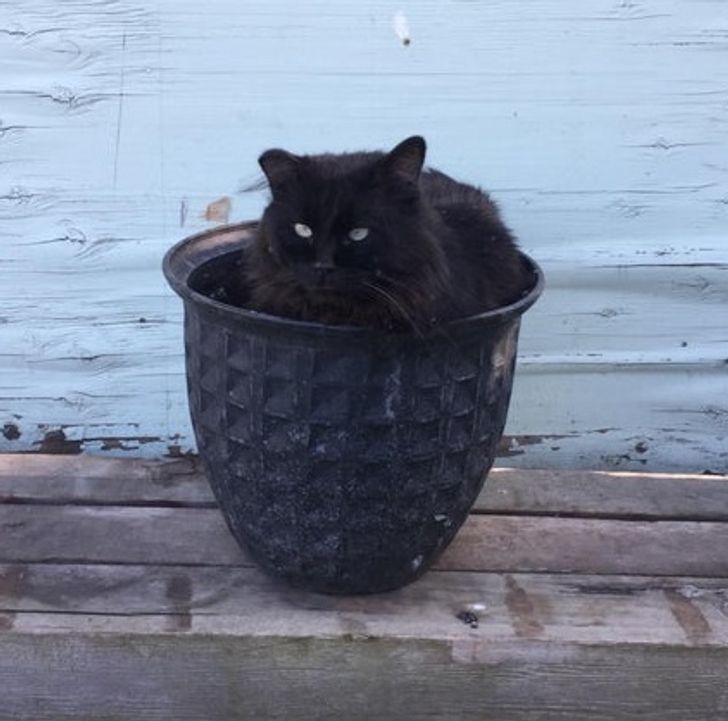 99529e51669cea573137132e12