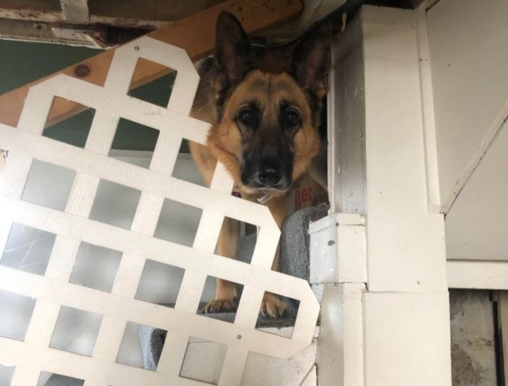 995d9a57d6a3621a0d2bc34e8e