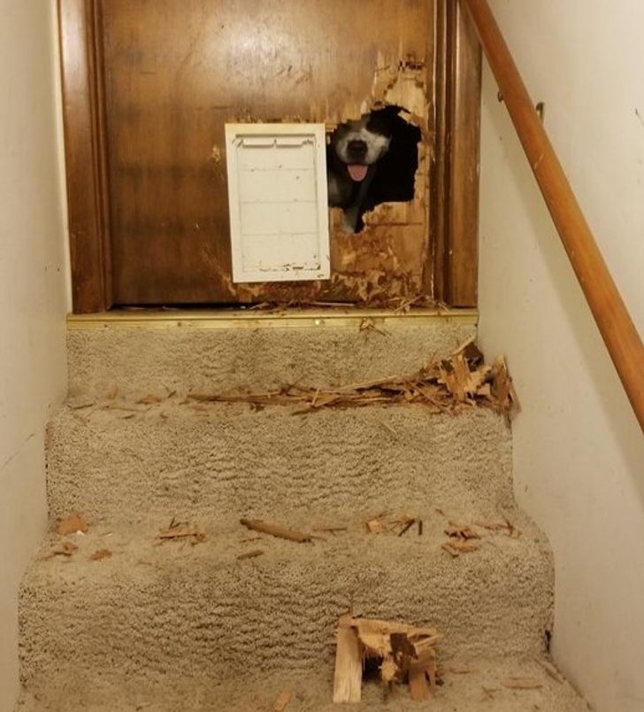 996354544cbabea3d3e0ee52af