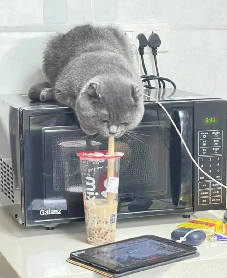 9963d158dd83a1fe67bc0135eb