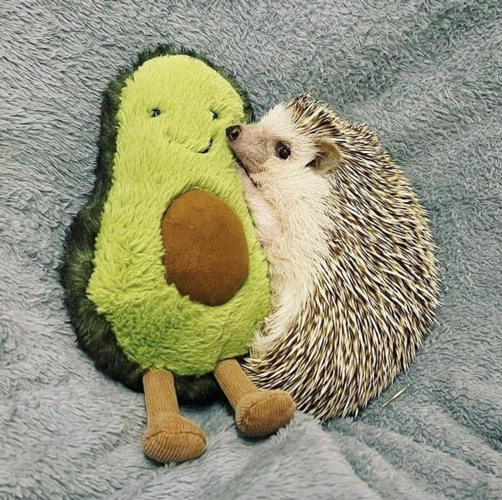 996b8959e4befe35d9d5d1b30e