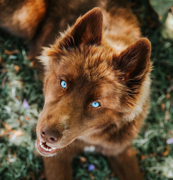 996db55a368fd0e73500cfd921