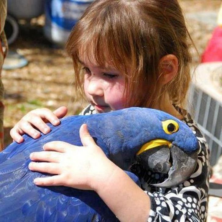 996df85167b132f19e28f2af2f