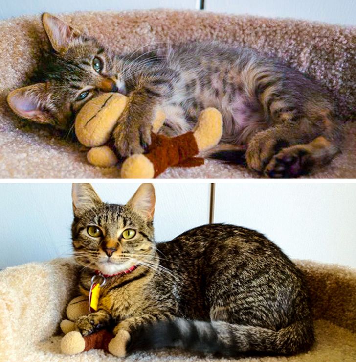 996f11597ab9eeb89f74458e39