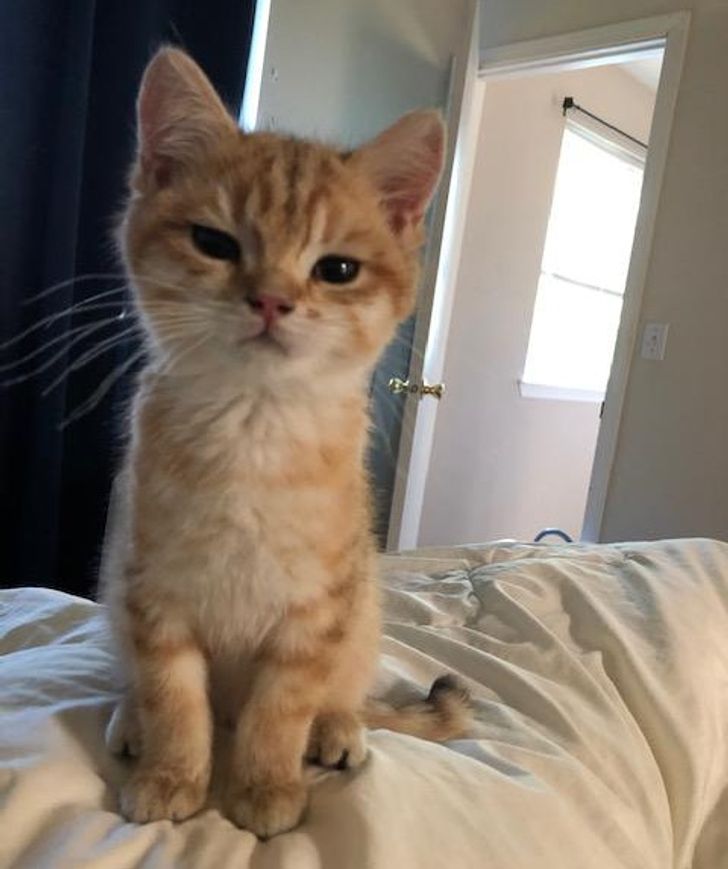 996f4e5cde8b1ce0c300ab3bda